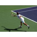 Racquet Sports