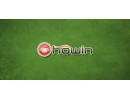 Howin