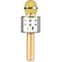 Wster Wireless Karaoke Microphone WS-858 Gold