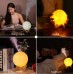 Large Humidifier 3D Moon Lamp With 15cm Base