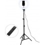 Ring Lamp Light Led 32cm Black