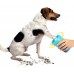 Foot Wash Cup For Cats And Dogs - 697726 Blue