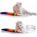 Nobleza Cat Colorful Fish Nail Track