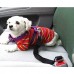 Dog seat belt